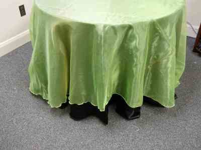Organza Overlay (120 Organza Overlay (120