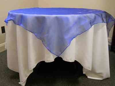 Organza Overlay (90 Organza Overlay (90