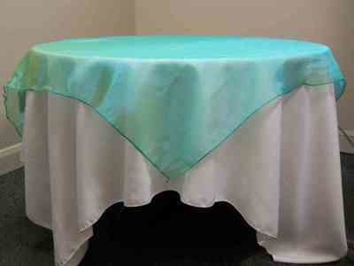 Organza Overlay (90 Organza Overlay (90