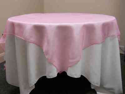 Organza Overlay (90 Organza Overlay (90