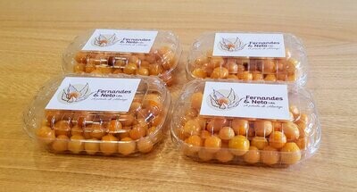 Physalis s/ Cálice - 150g