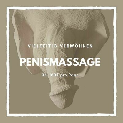 3h Penismassage Workshop für Paare