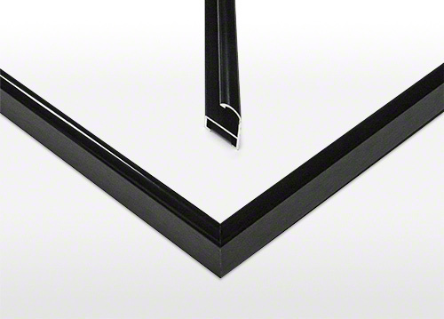 Standard Frame