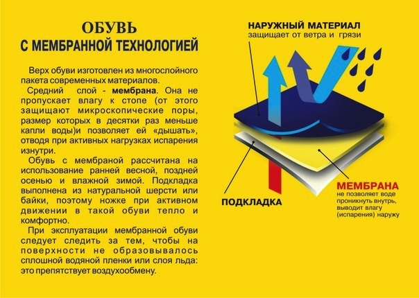 454941-42 Мембрана Котофей оптом, размеры 26-30