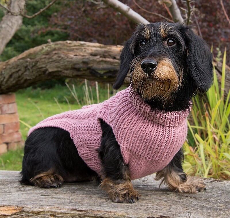 Dachshund Jumpers and Snoods
