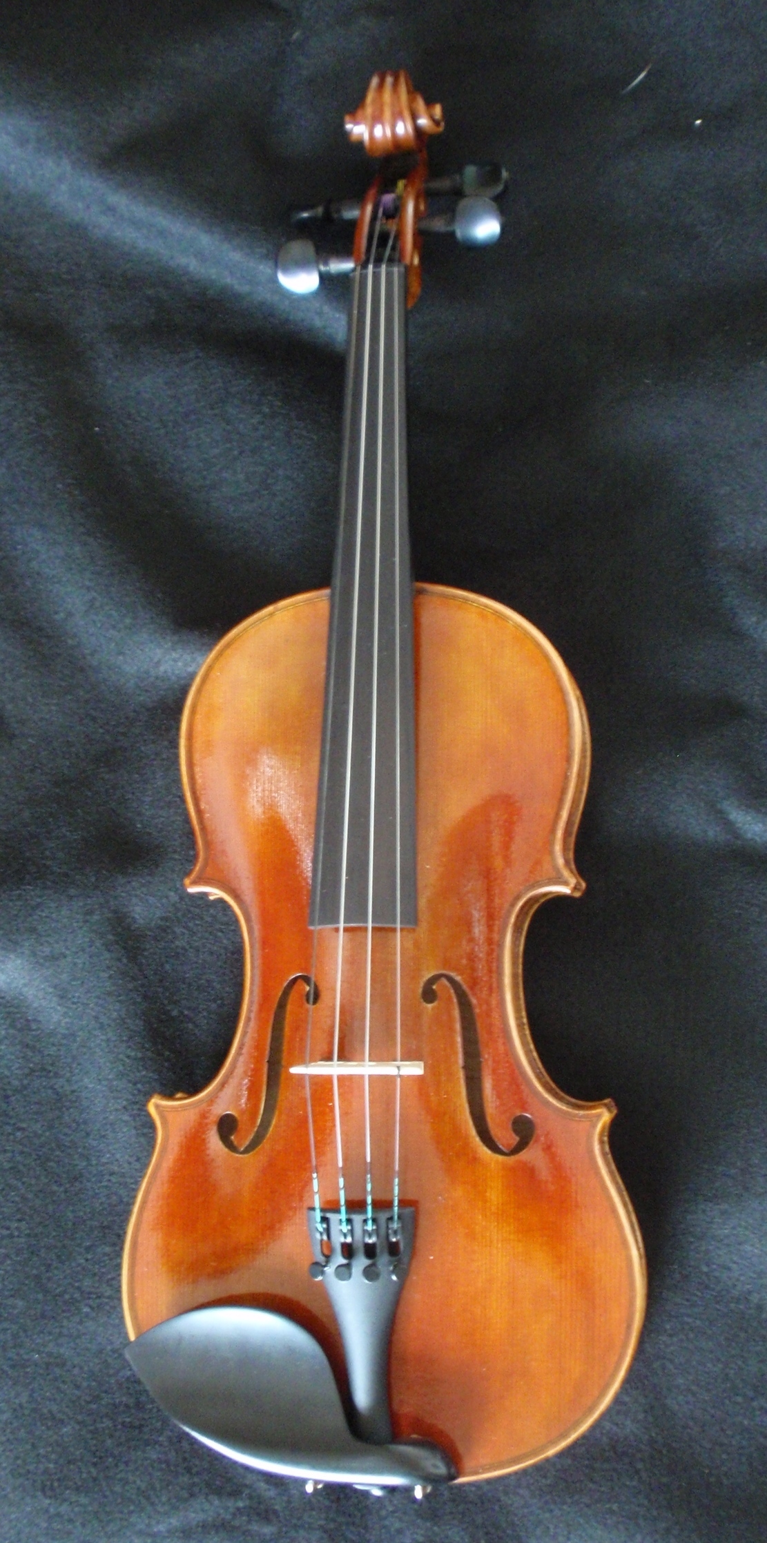 Thankful Strings B25 Violin Outfit