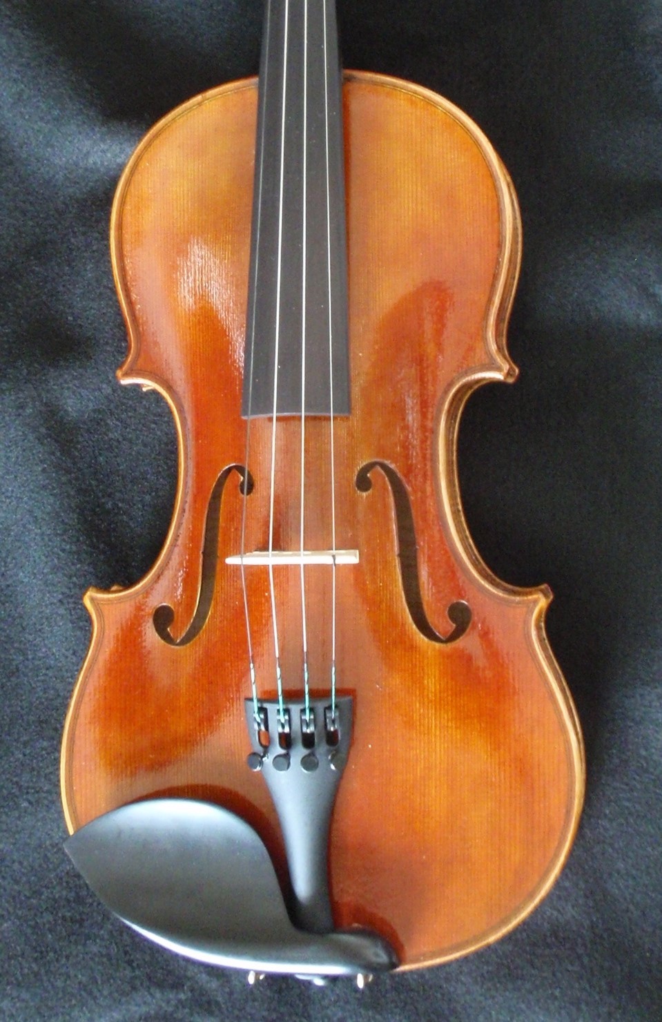 Thankful Strings B25 Violin Outfit