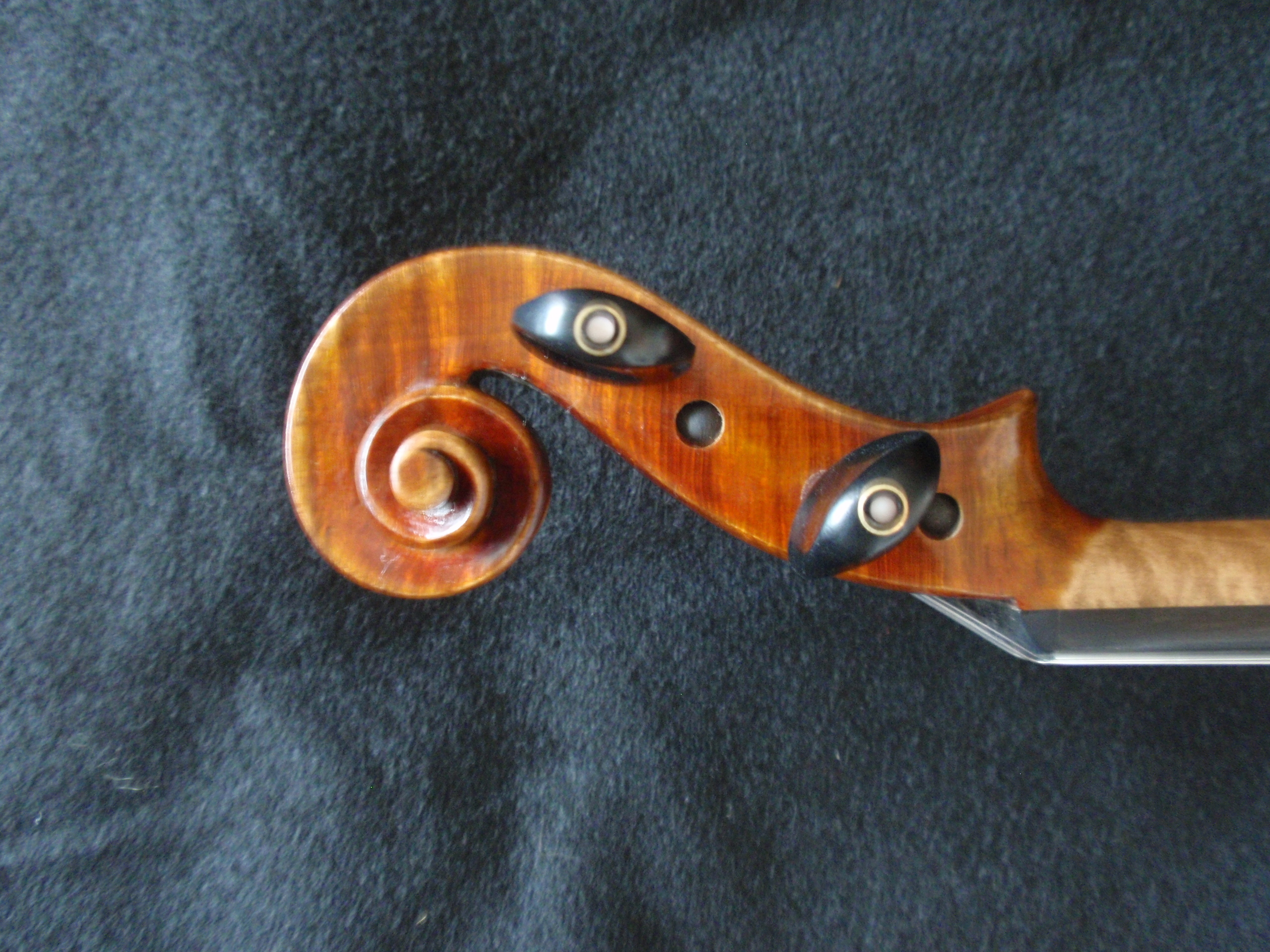 Thankful Strings B25 Violin Outfit