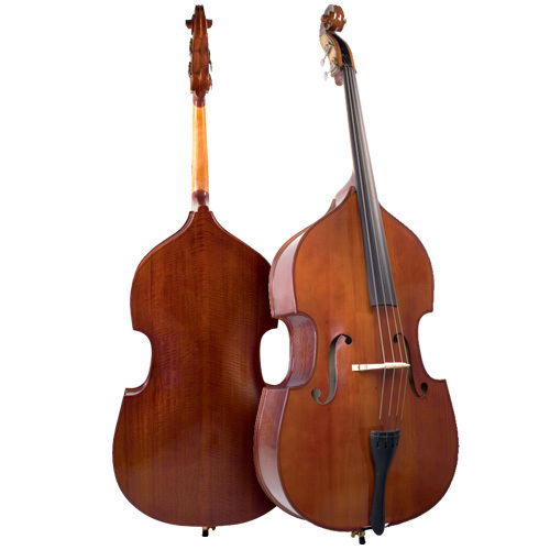 Bergamo VB029 Bass 00003