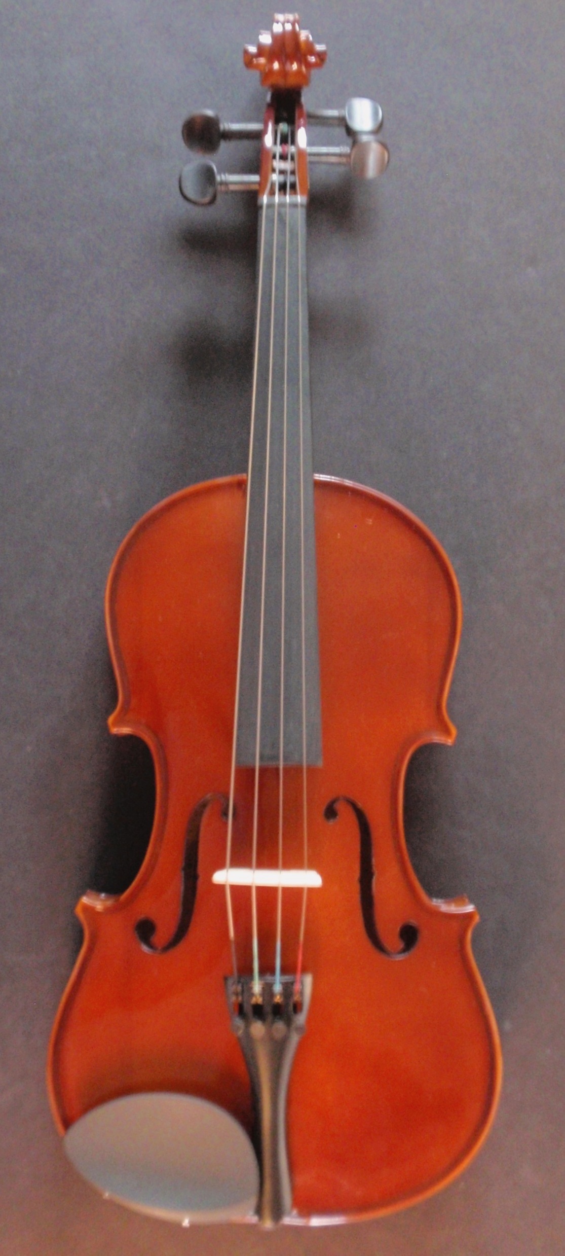 Allegro Viola Frontside