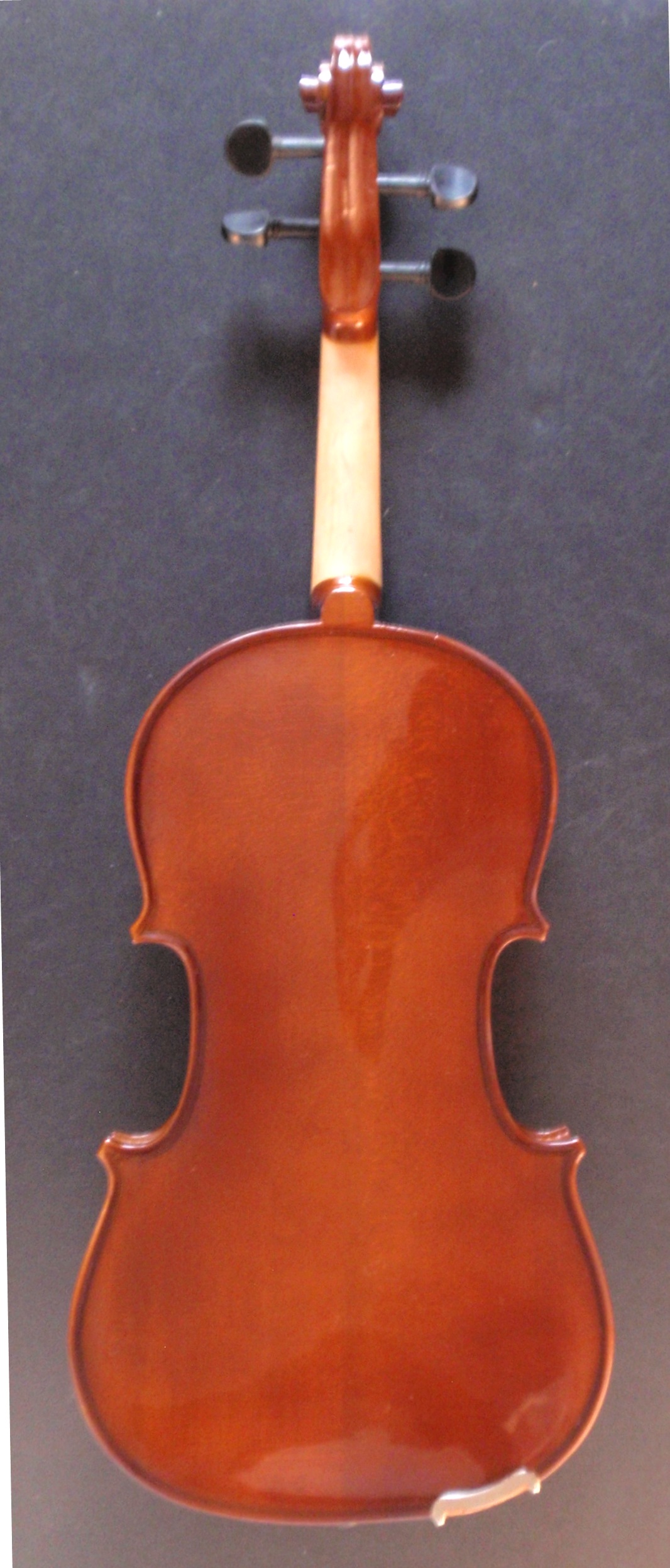 Allegro Viola Backside
