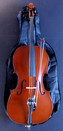 Antonius Cello Outfit VC-150