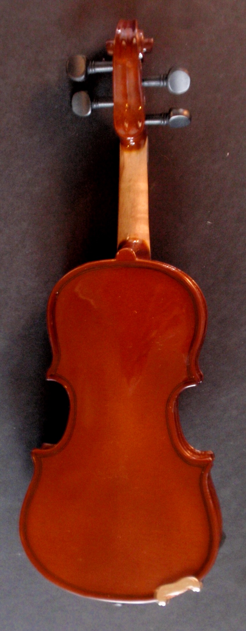 Campus Violin Backview