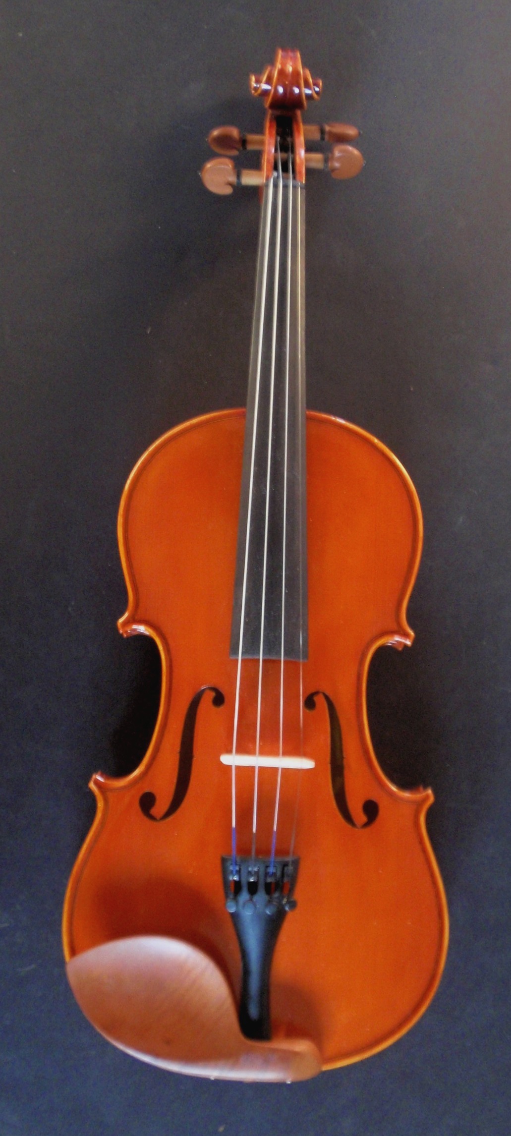 Vivo Prelude Violin Frontview