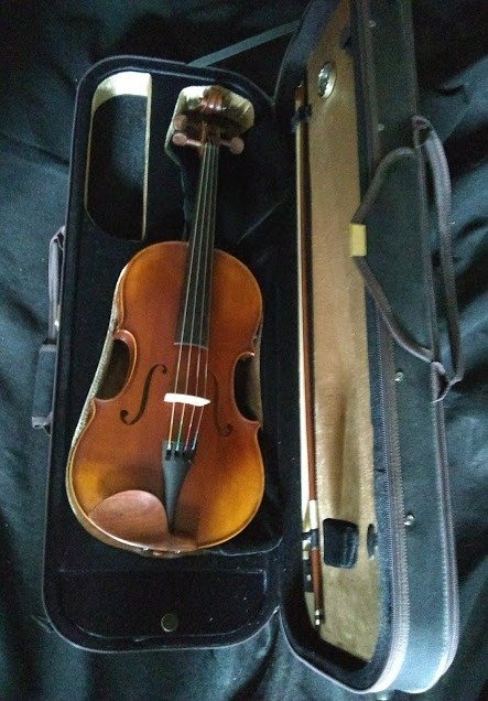 Scott Cao STA017 Viola Outfit