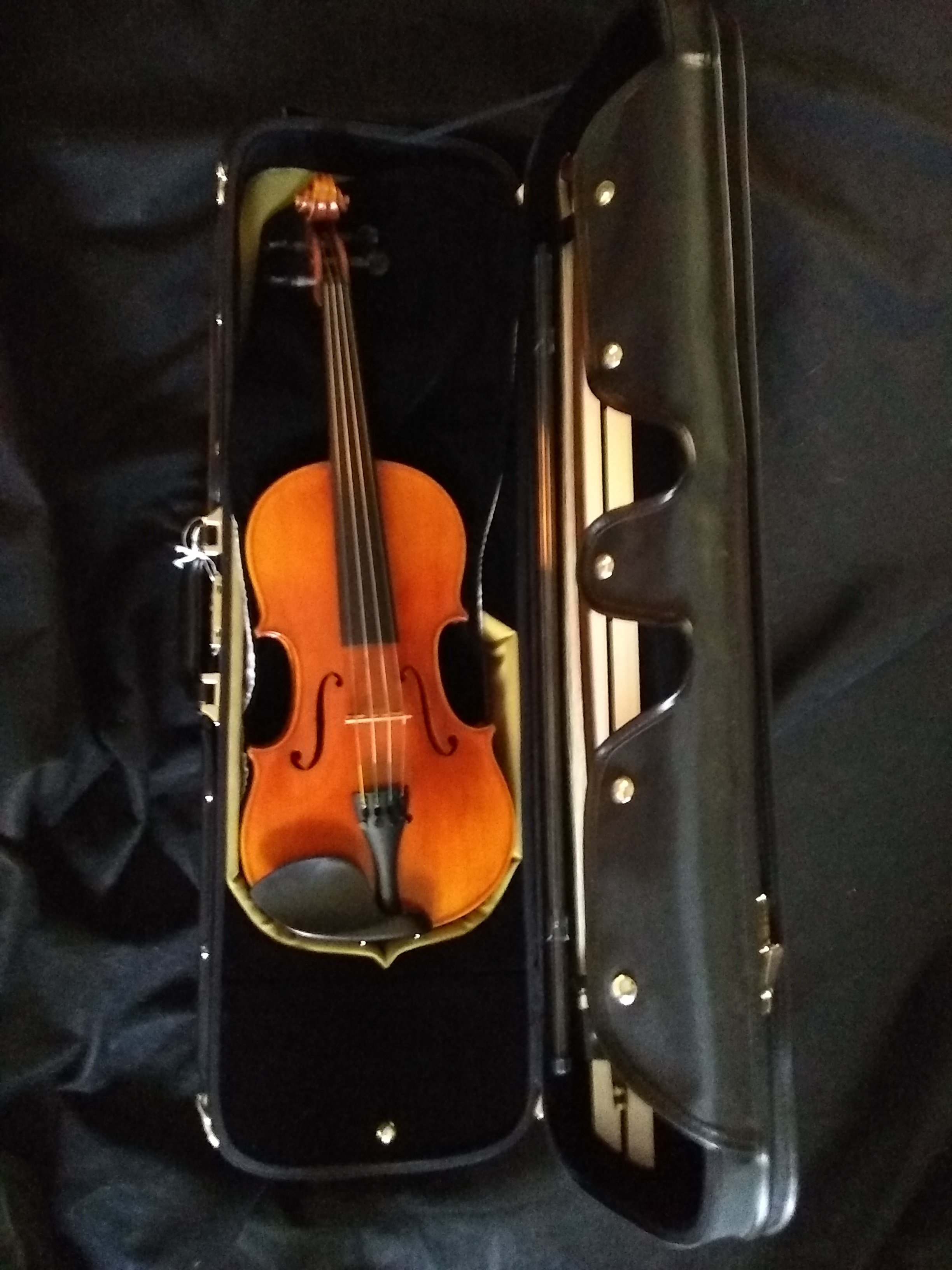 Thankful Strings B50 Violin Outfit