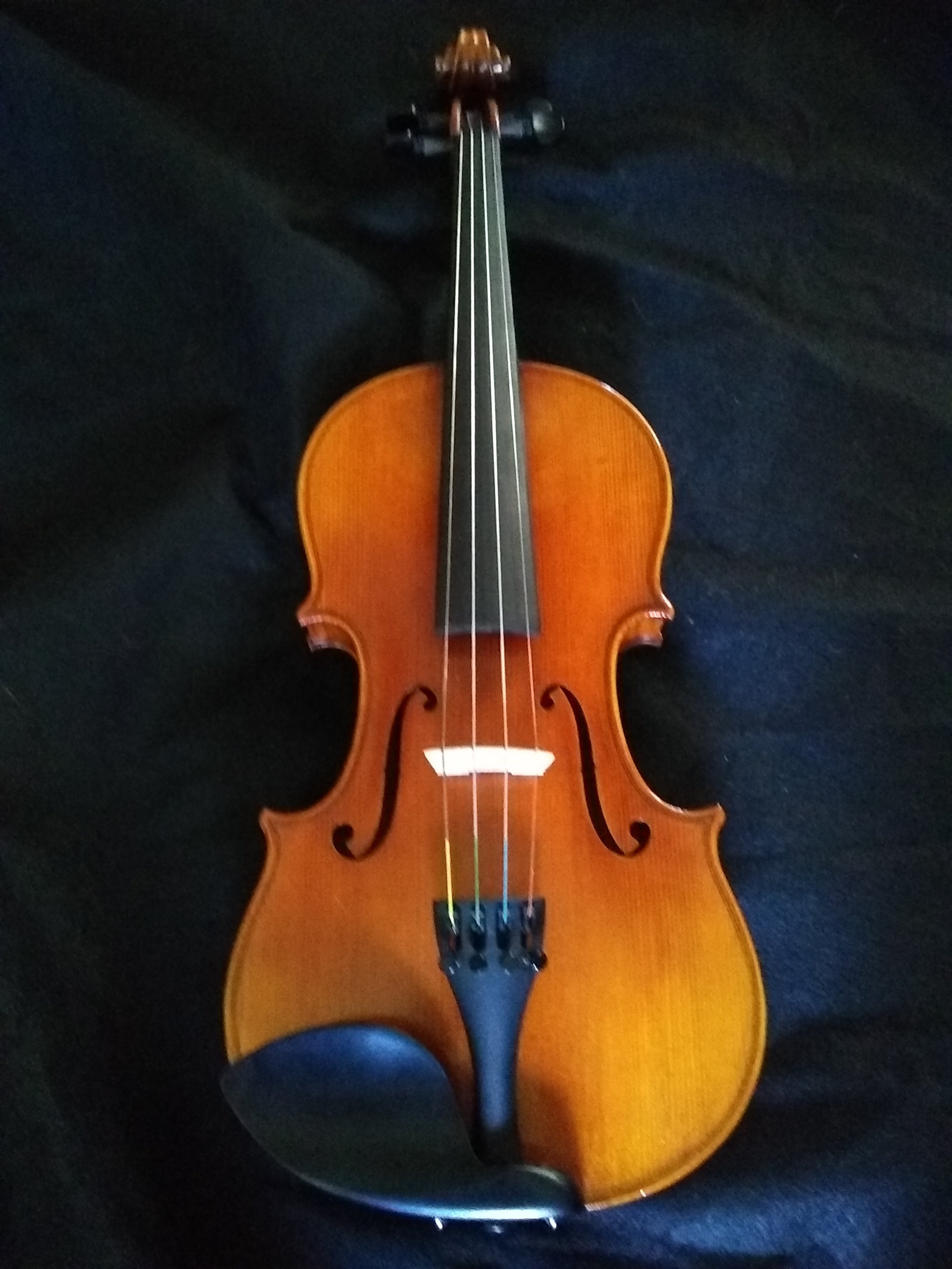Thankful Strings B50 Violin Outfit