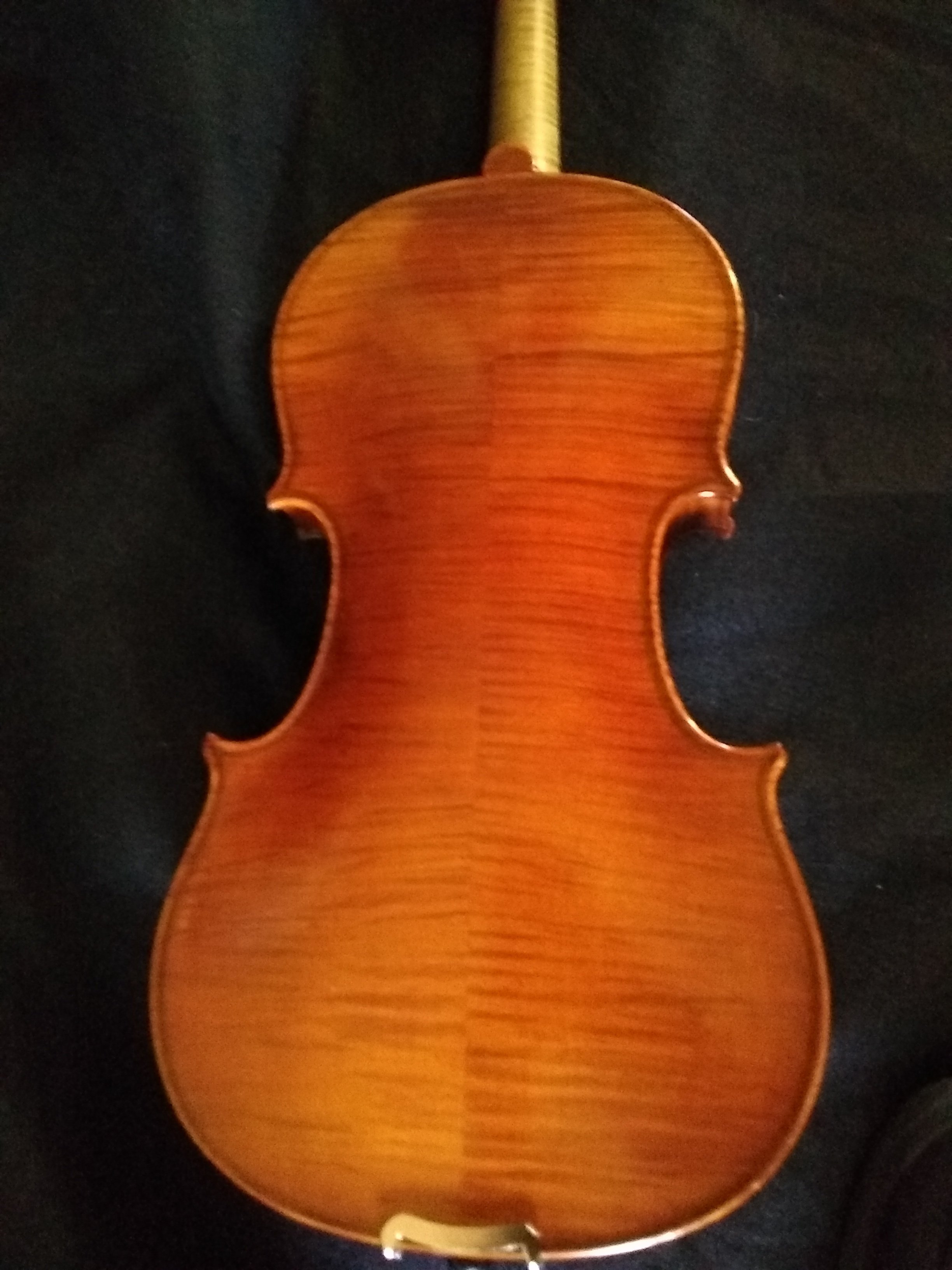 Thankful Strings B50 Violin Outfit