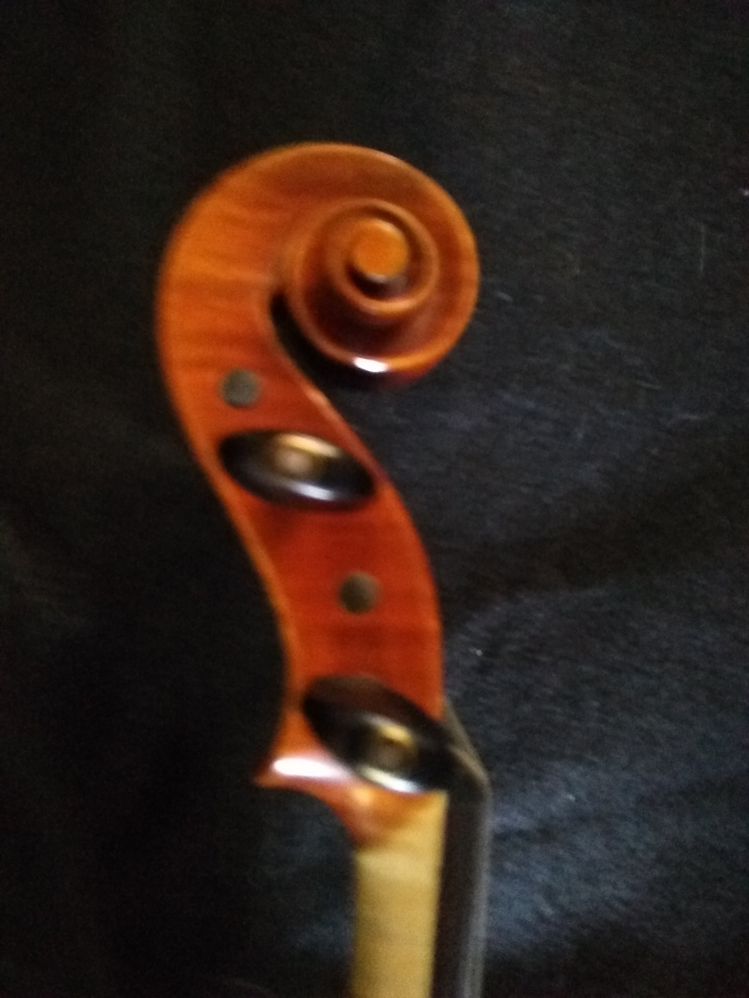 Thankful Strings B50 Violin Outfit
