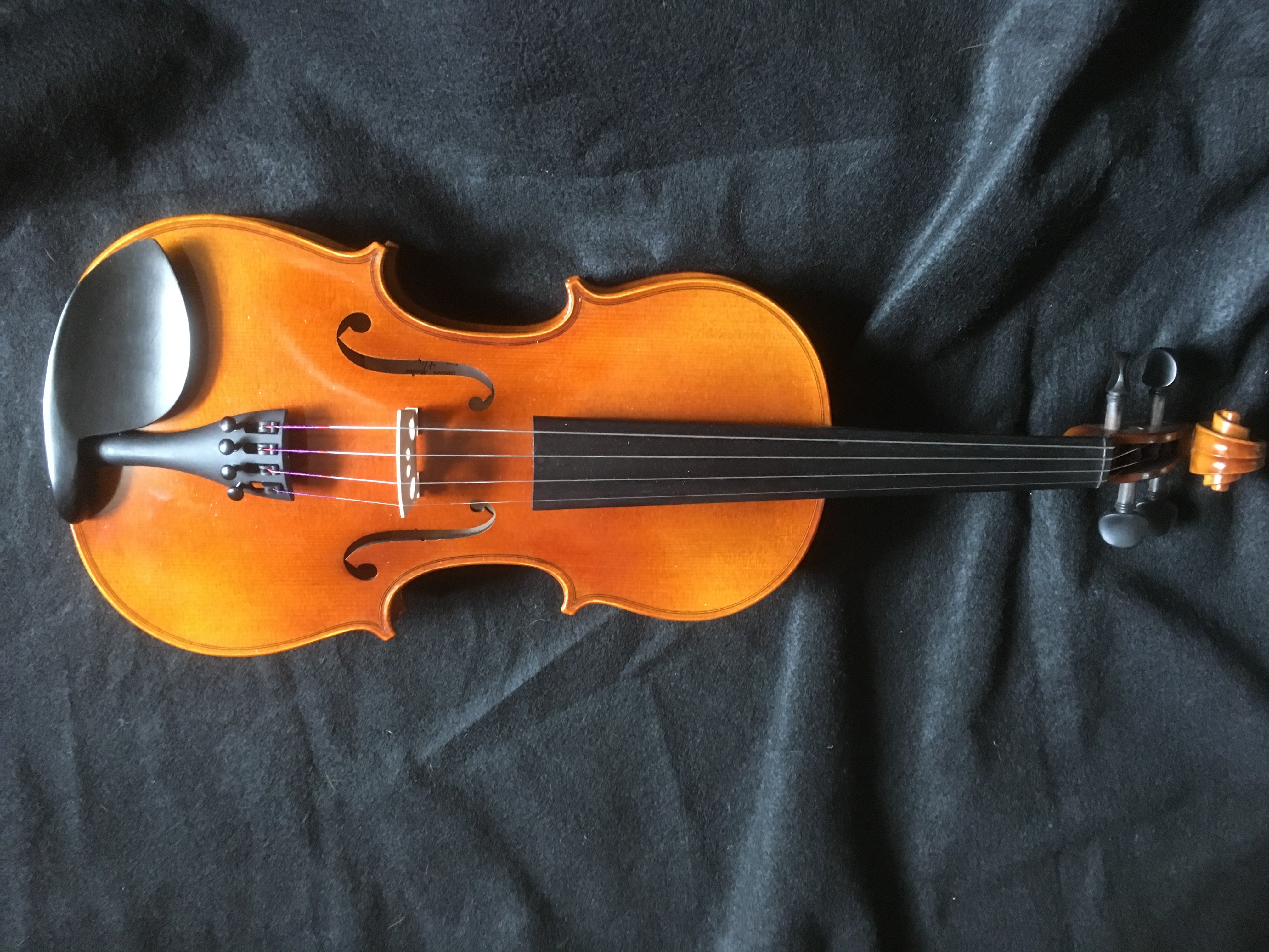 Bella Voce "Musica" Violin Outfit
