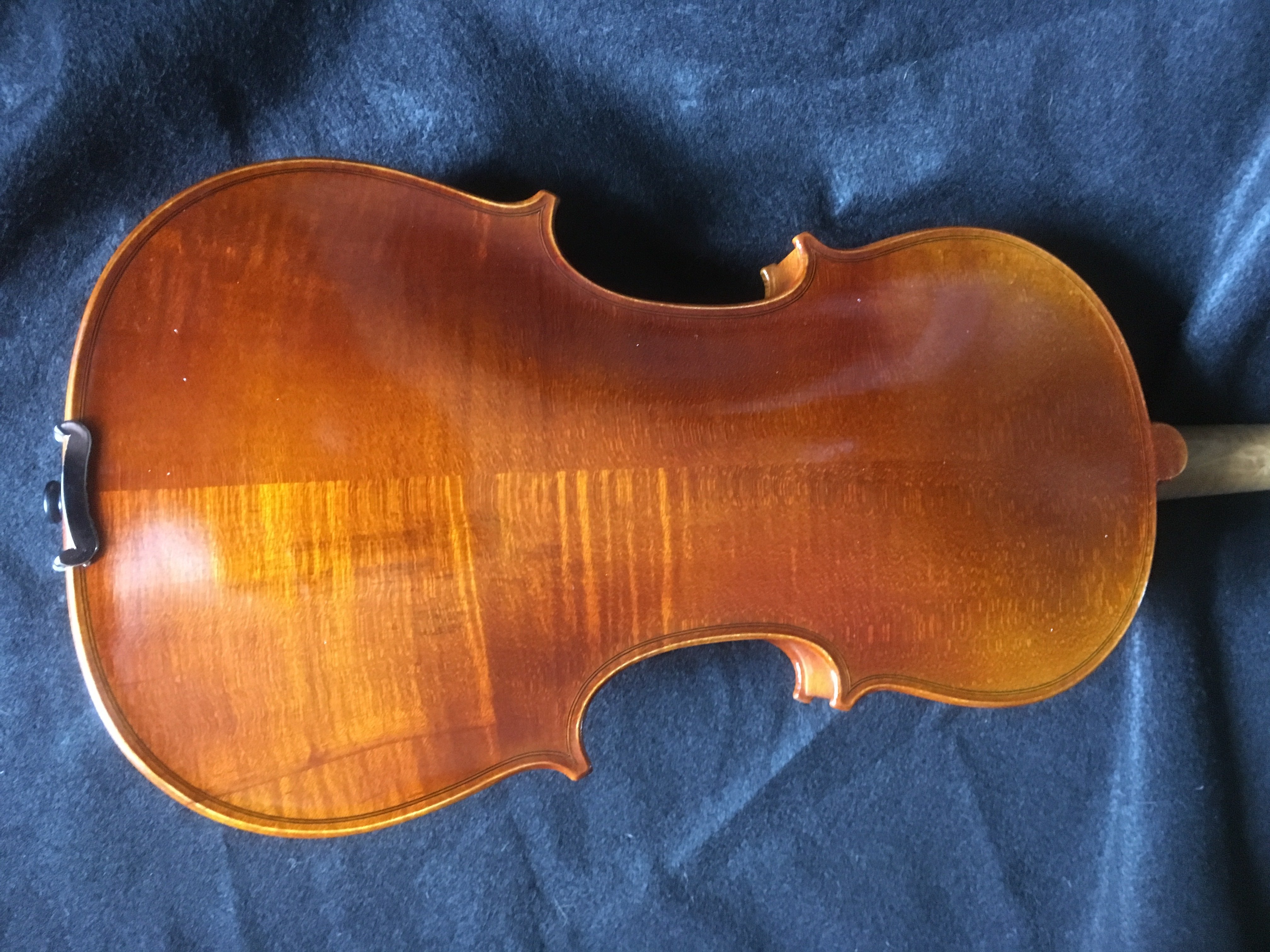 Bella Voce "Musica" Violin Outfit