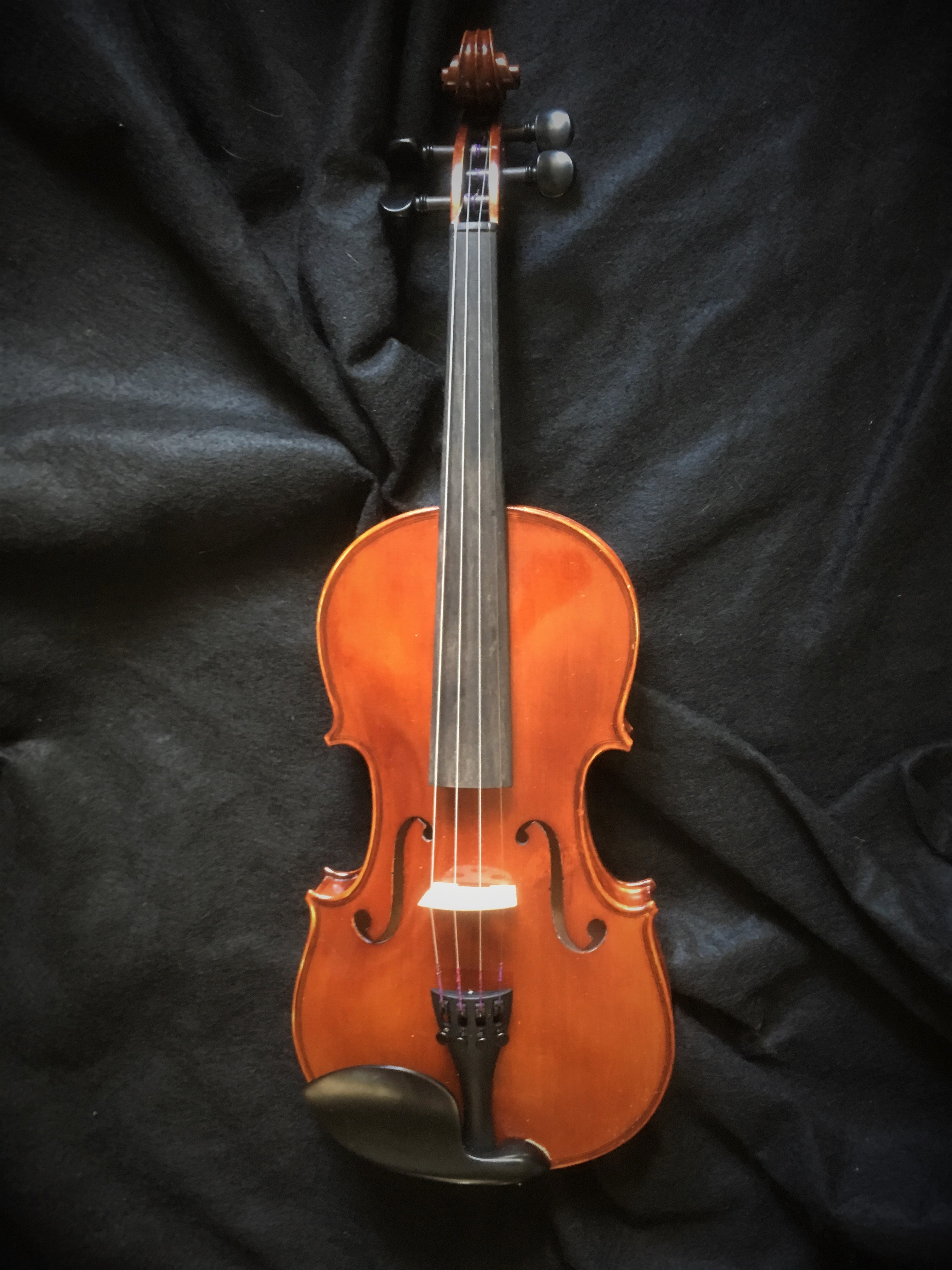 Thankful Strings B20 image 2