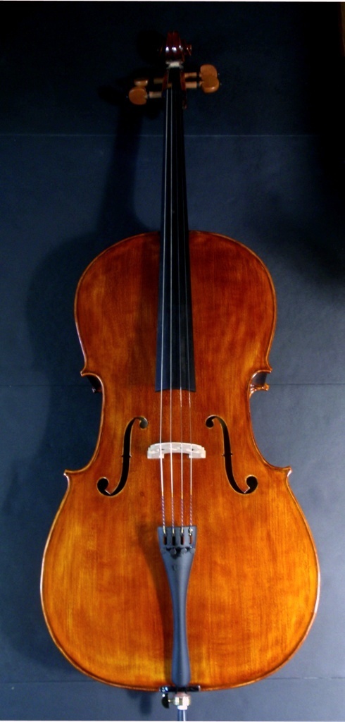 Vivo Prelude Cello Outfit