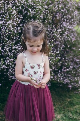 Petunia Tutu Dress - Wine | Size 12 Only Petunia Tutu Dress - Wine | Size 12 Only