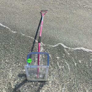 Shark Tooth Sifter 10 Shark Tooth Sifter 10