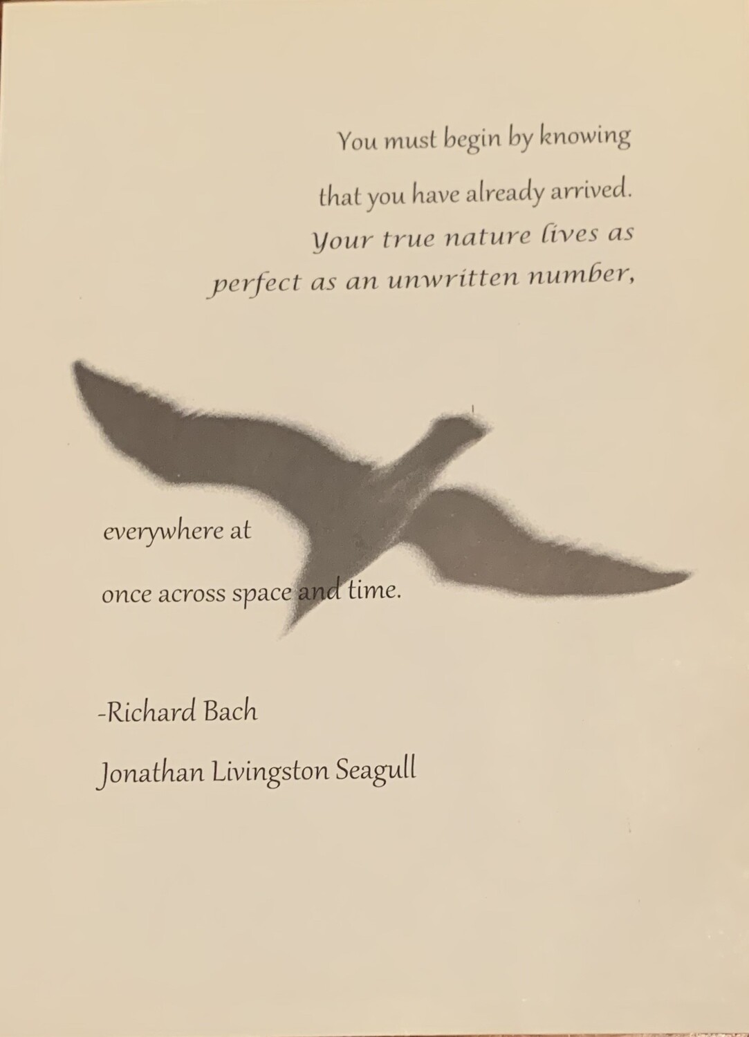 Jonathan Livingston Seagull Quote Print Jonathan Livingston Seagull Quote Print