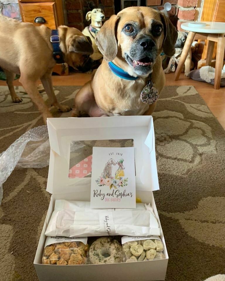dog surprise box