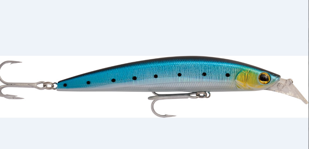 blue sardine