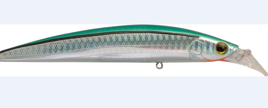 green sardine