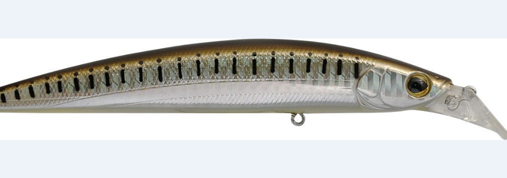grey mullet