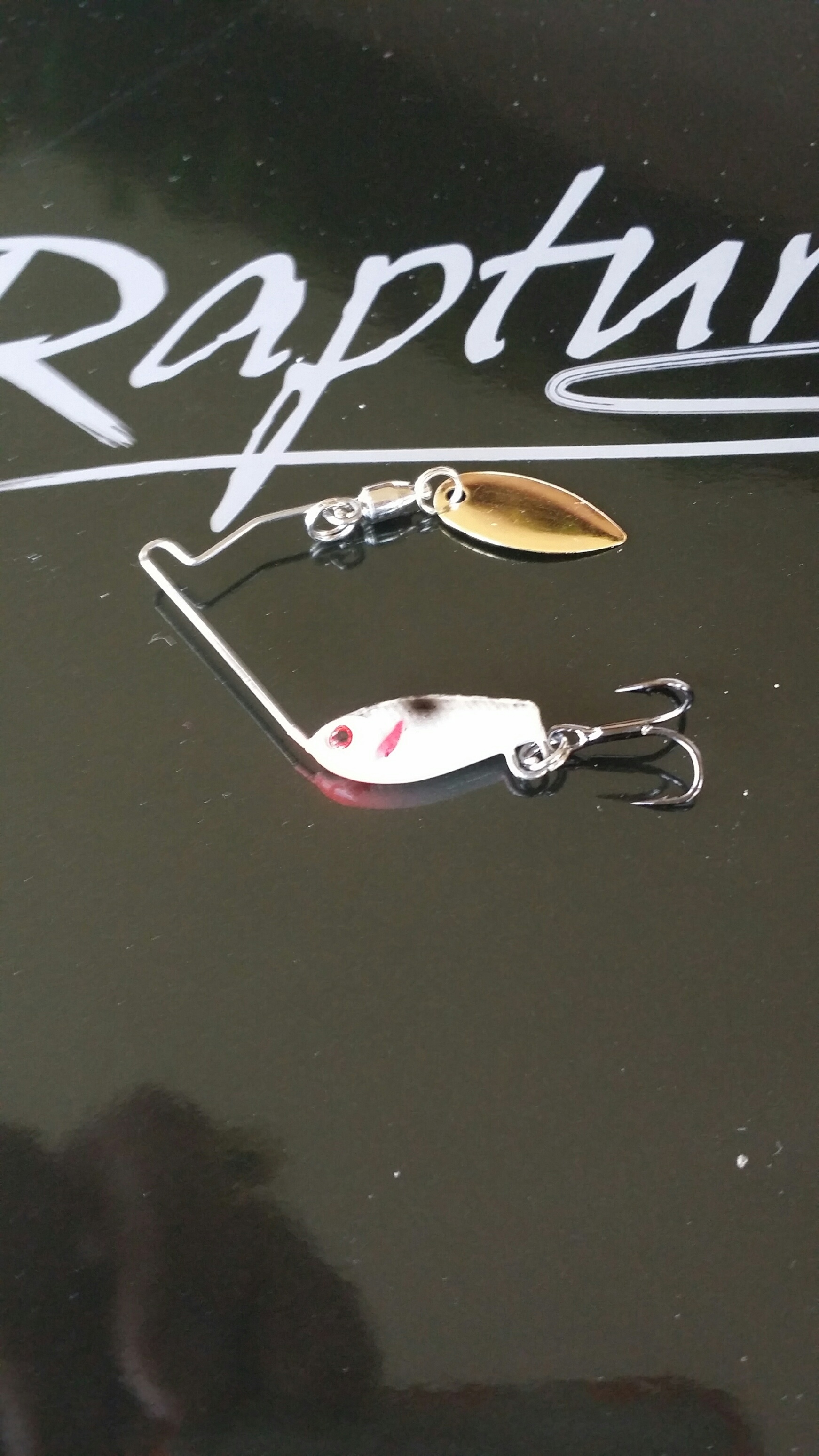 SILVER SHAD