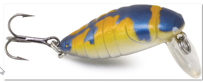 Pro Beetle 00344