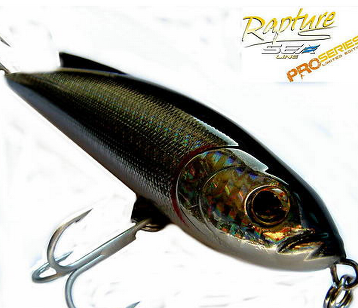 Live Darter lipless minnow for game fish