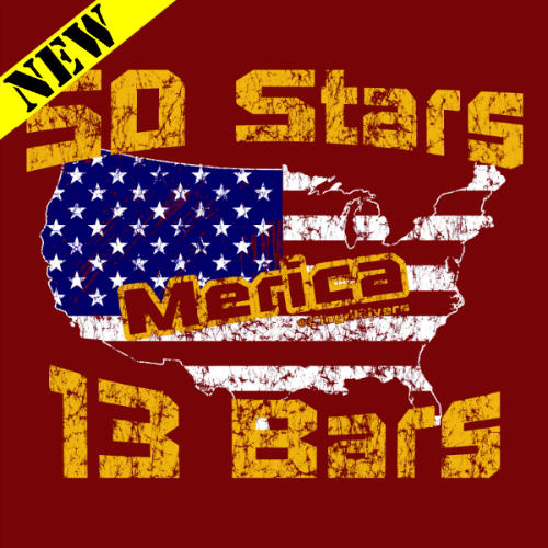 Winter Clearance Hoodie - Stars and Bars 00298
