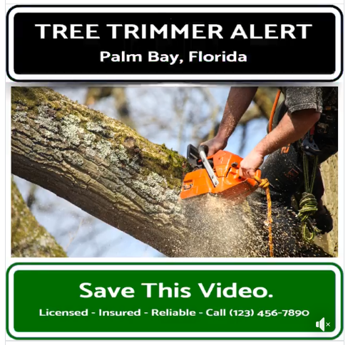 Tree Trimmer Video - 1 Tree Trimmer Video - 1