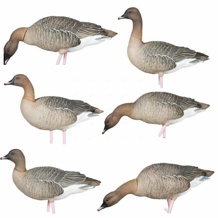 Чучела гусей гуменника Avian-X AXP Pinfoots Чучела гусей гуменника Avian-X AXP Pinfoots