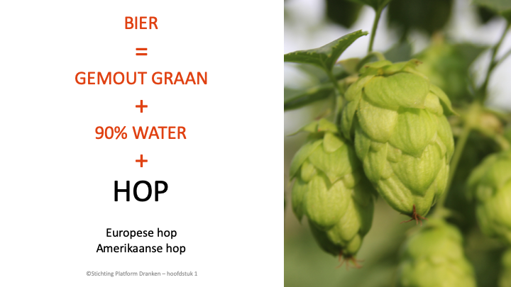Powerpoint Presentatie: Ik weet wat van bier - SDEN-Niveau 1