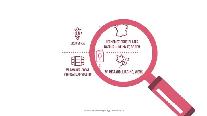 Powerpoint Presentatie: Ik weet meer van wijn - SDEN-Niveau 2