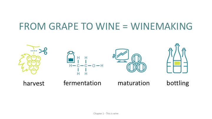 Powerpoint Presentation: I KNOW SOMETHING ABOUT WINE - SDEN-LEVEL 1 (English)