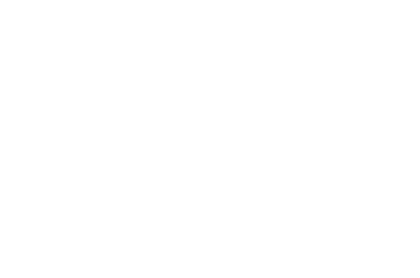 Online Store