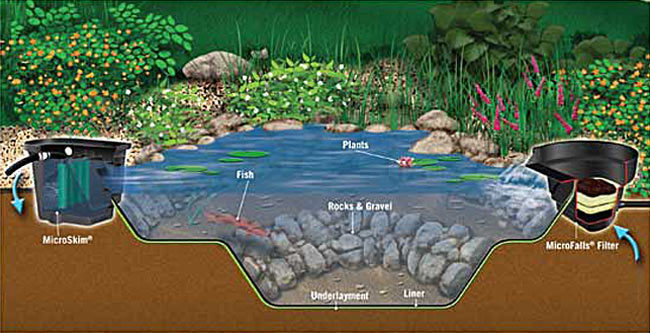 Aquascape Ideas Aquascape Pond Kits Canada