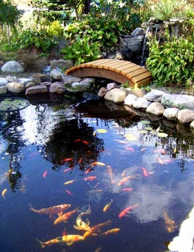 Superior Koi Pond Kit | Pond Clarifiers - Hydrosphere Water Gardens