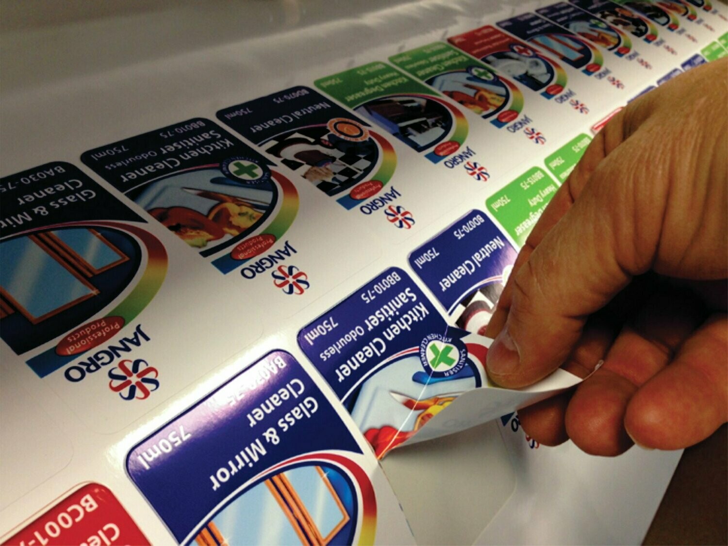 Rótulos e Etiquetas