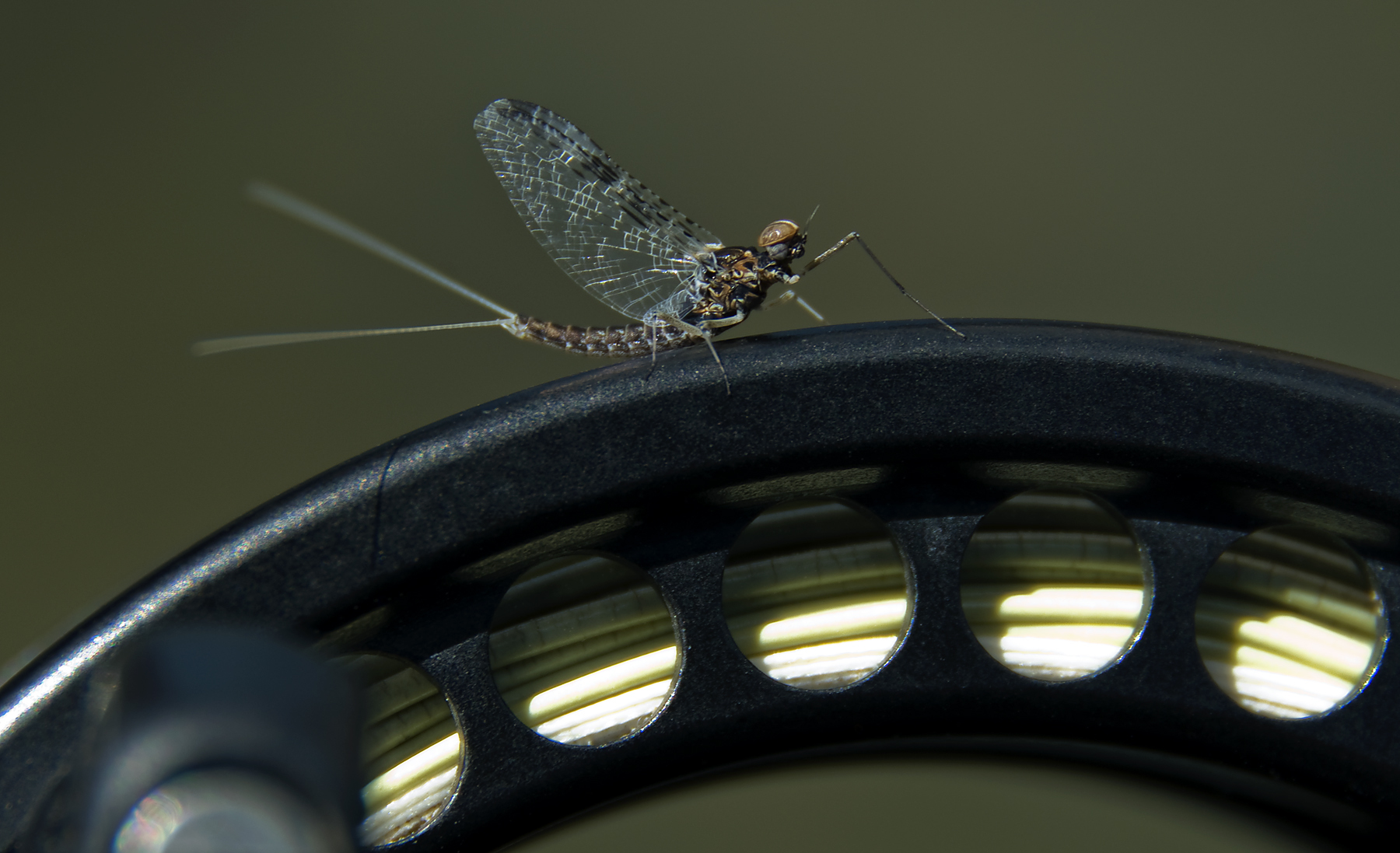 Photography on the Fly: Better Fly Fishing Photos 134