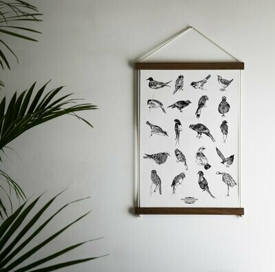 Illustrated Birds by Chrysa Koukoura