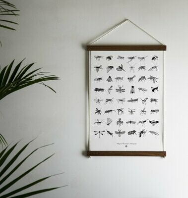 Terrestrial Arthropods by Chrysa Koukoura